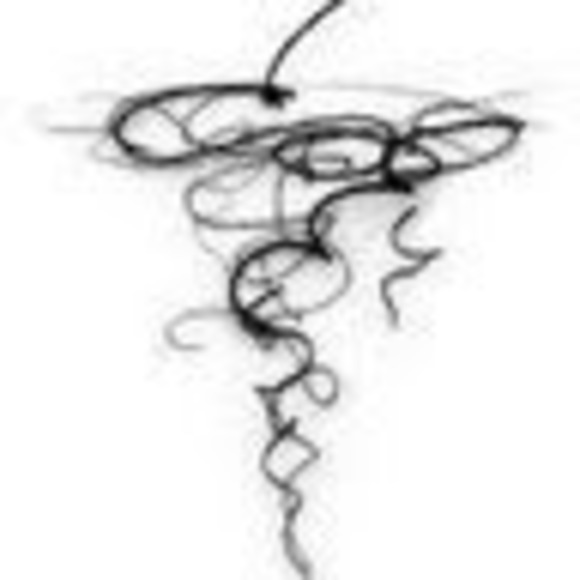 Meet your Posher, Chris - Picture 1 of 1